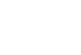 WV Incorporadora